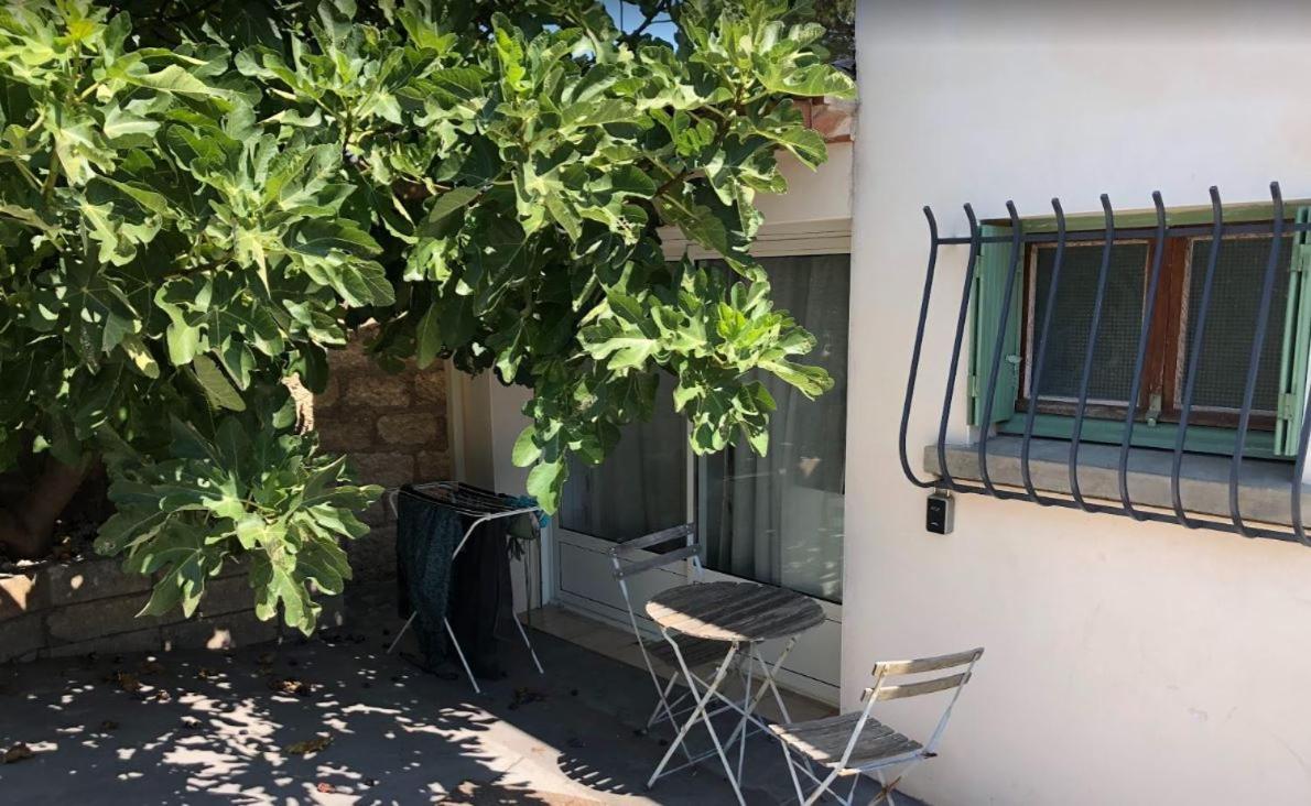 Le Nid Castries - Charmant Logement Complet Et Equipe Centre Castries Proche Montpellier Kültér fotó